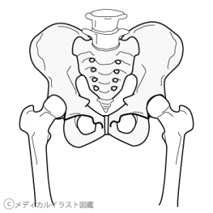 骨と筋肉の異常によって起こる股関節の痛み 御徒町のパワーマグネット整体 リラクゼーションスマイル 東京都台東区御徒町にある整体 肩こり 腰痛 歪み等を解決